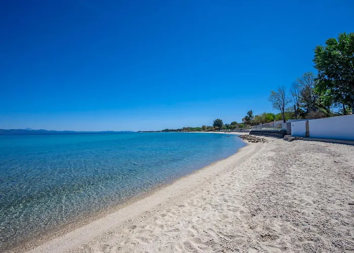 Villa Serenity Seafront Garden *